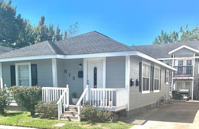 813 Alexander Street - 813 Alexander Street, Houston, TX 77007