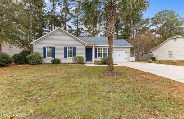 229 Birch Creek Road - 229 Birch Creek Road, Belville, NC 28451
