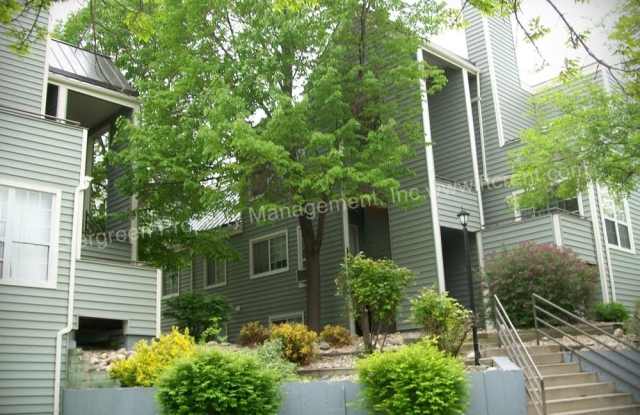 Beautiful One-Bedroom Apartment with Washer/Dryer Near CSU! photos photos