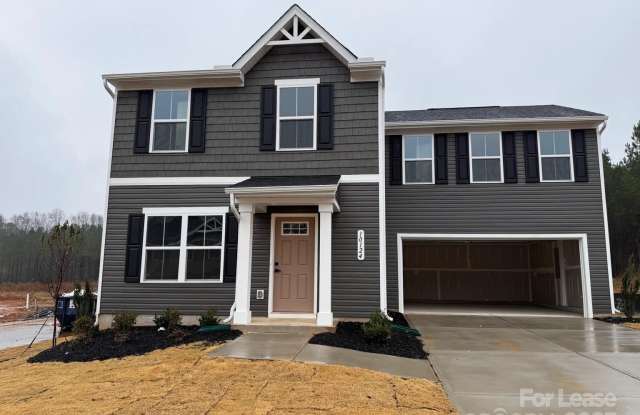 10124 Florentine Way - 10124 Florentine Way, Mecklenburg County, NC 28214