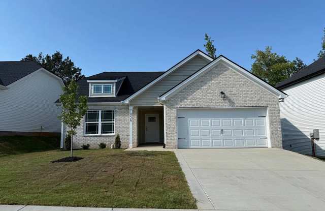 New 3 bedroom 2 bath home for rent photos photos