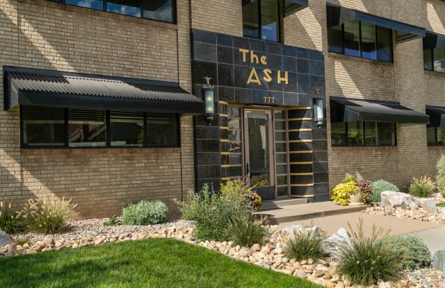 The Ash Gallery 2