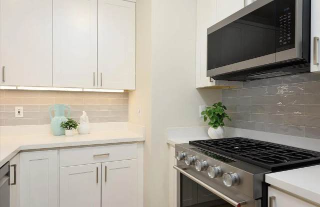 1568 Union St Apt 201 Gallery 4