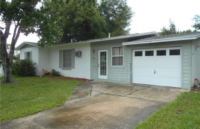 1919 Freeman Place - 1919 West Freeman Place, Citrus Springs, FL 34434