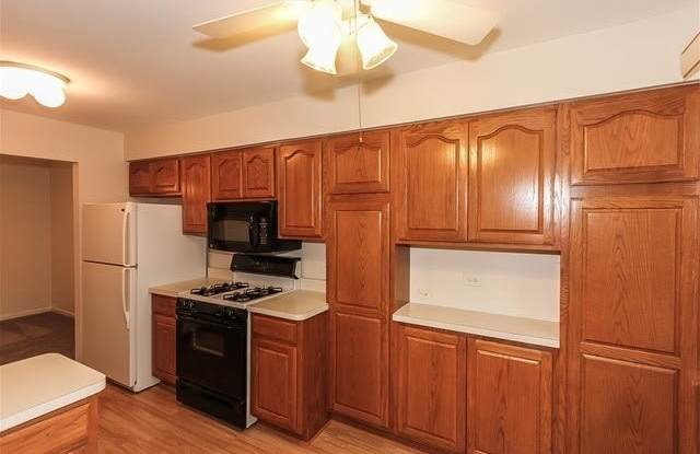 1200 Knottingham Ct - 1200 Knottingham Court, Schaumburg, IL 60193