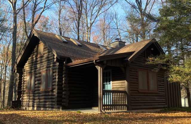 Log Cabin - 43 Birch Street, West Hurley, NY 12491