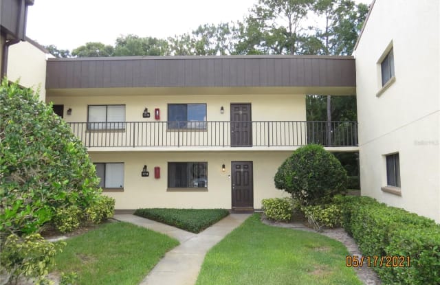 11714 RAINTREE LAKE LANE - 11714 Raintree Lake Lane, Temple Terrace, FL 33617