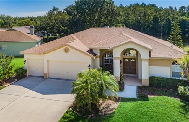 2535 Saddlewood Lane - 2535 Saddlewood Lane, East Lake, FL 34685