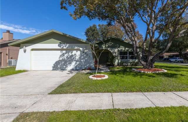 4711 RIDGE POINT DRIVE - 4711 Ridge Point Drive, Carrollwood, FL 33624