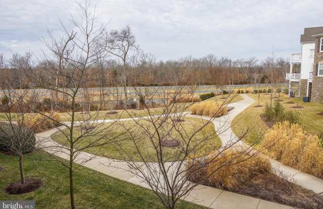 42468 GREAT HERON SQUARE Gallery 2