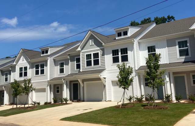 NEW 3BD Townhome Walking Distance to Downtown (1 Month Free) - 627 Elizabeth Avenue, Albemarle, NC 28001