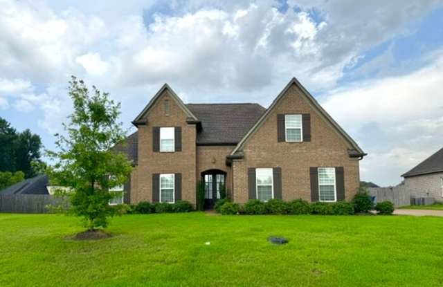 8618 Ainsley cove Gallery 1