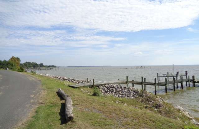 13405 BEACH HAVEN CIRCLE Gallery 4