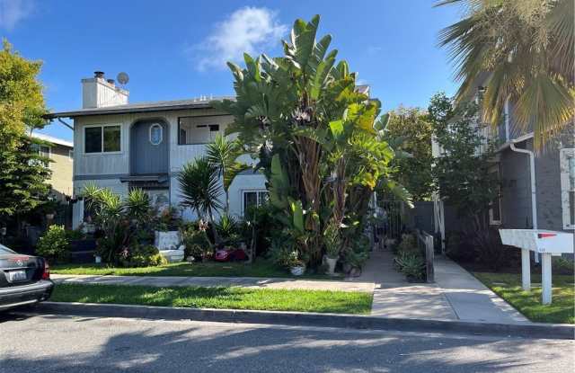 135 Flower photos photos