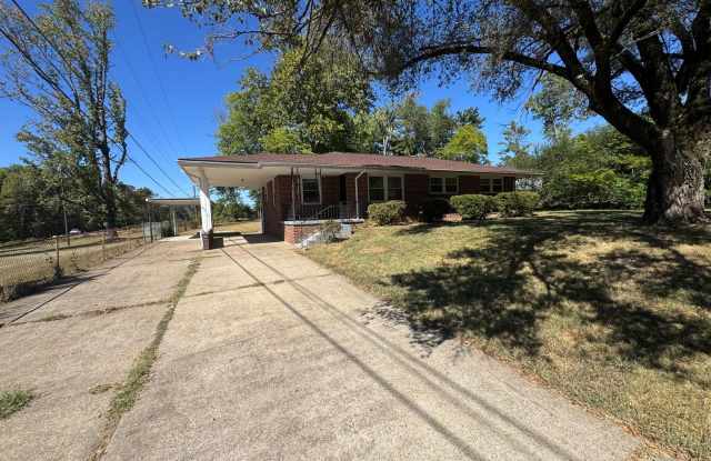 Single Family Home in Clarksville Gallery 3