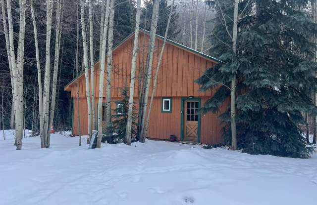 Secluded Creekside One Bedroom - 224 East Bakerville Road, Clear Creek County, CO 80476 Secluded Creekside One Bedroom - 224 East Bakerville Road, Clear Creek County, CO 80476