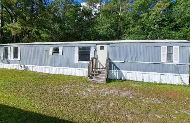 113 Novits Nook Lane - Lot 73 - 113 Novits Nook Court, Colleton County, SC 29488