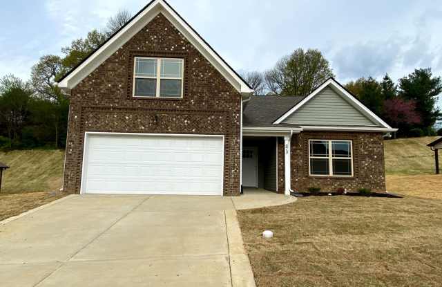 Spacious  Modern Home for Rent - One Level with Bonus Room! photos photos