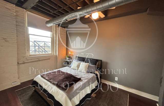 215 Ice Avenue - 215 Gallery 2