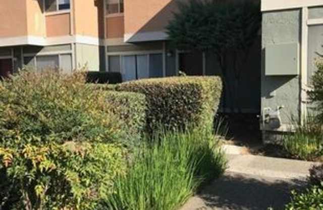 Davis 3 bedroom 2 bath condo in a great location-Fall rental photos photos