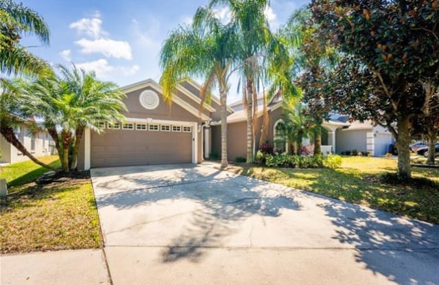 11156 Rodeo Lane - 11156 Rodeo Lane, Riverview, FL 33579