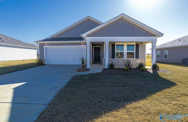 130 Nettle Leaf Drive - 130 Nettle Leaf Drive, Moores Mill, AL 35759