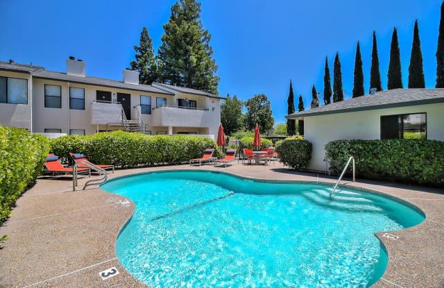 Larkspur photos photos