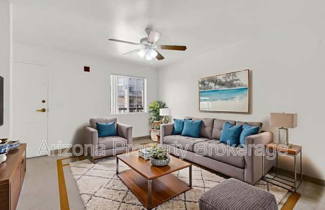 Homeward Bound photos photos