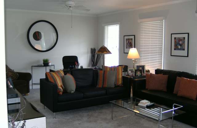 316 Washington Boulevard Gallery 4