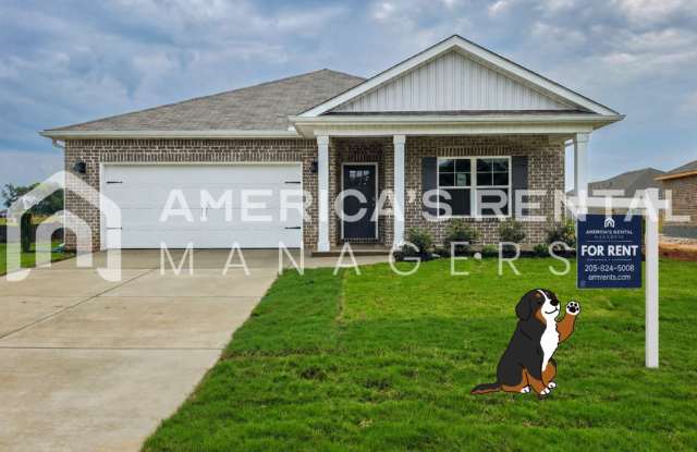 New Construction Home for Rent! photos photos