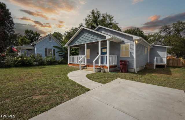 308 Hamilton Street - 308 Hamilton Street, Johnson City, TN 37604