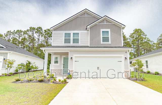 4244 Falls Oaks Street - 4244 Falls Oaks Street, Horry County, SC 29579 4244 Falls Oaks Street - 4244 Falls Oaks Street, Horry County, SC 29579