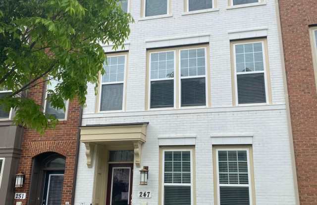 247 BALDWIN STREET Gallery 2