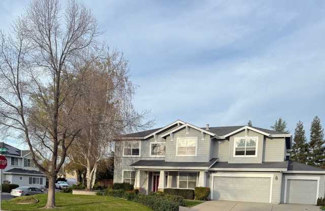 Park like setting photos photos