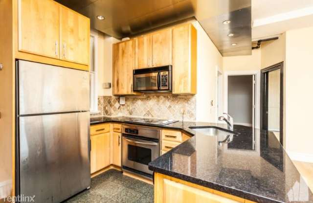 2795 N Pine Grove Ave 5A - 2795 North Pine Grove Avenue, Chicago, IL 60614
