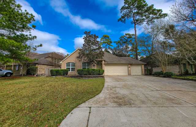 226 Fairwind Trail Dr - 226 Fairwind Trail Drive, The Woodlands, TX 77385