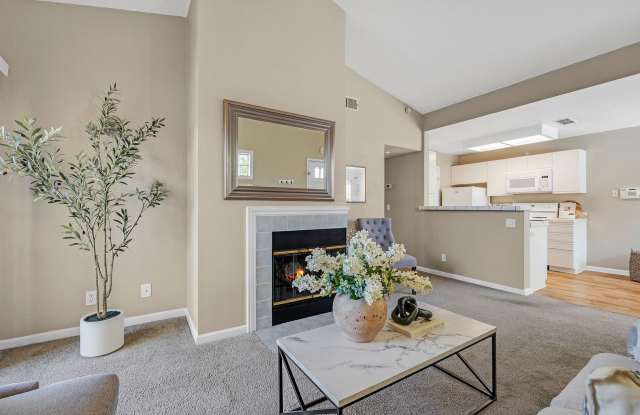 Beautiful One Bedroom Condo in Alamo Villas! photos photos