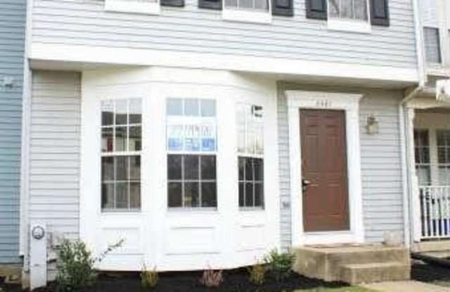 8567 BLACK STAR Circle Gallery 1