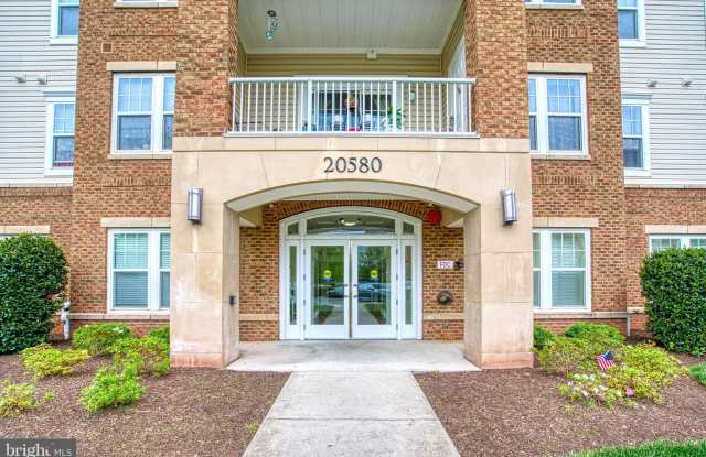 20580 HOPE SPRING TERRACE Gallery 4