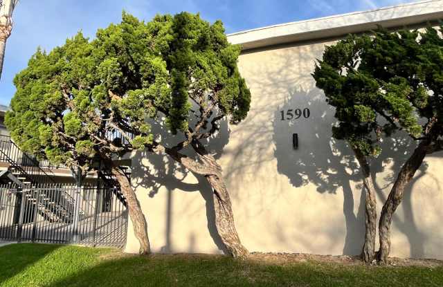 SPACIOUS 1 BEDROOM 1 BATH DOWNSTAIRS photos photos