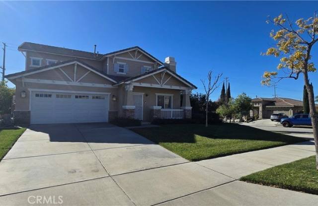 16225 Soapberry photos photos