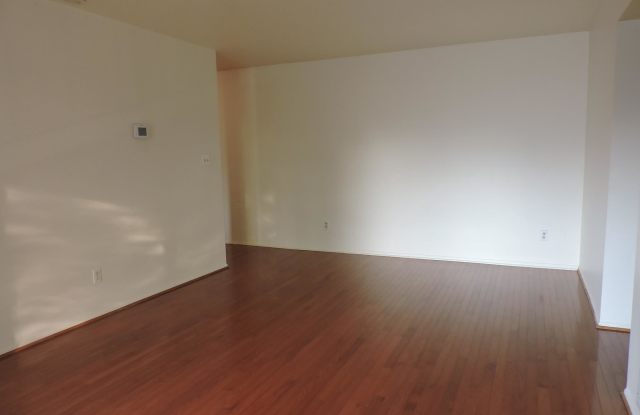 1102 LISADALE CIRCLE Gallery 3
