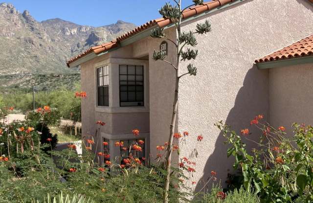 6500 N Tierra de las Catalinas photos photos 6500 N Tierra de las Catalinas photos photos