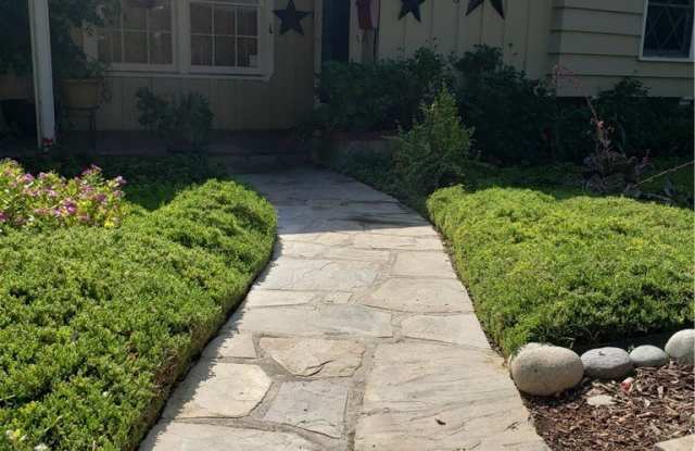 1236 Dorothy photos photos