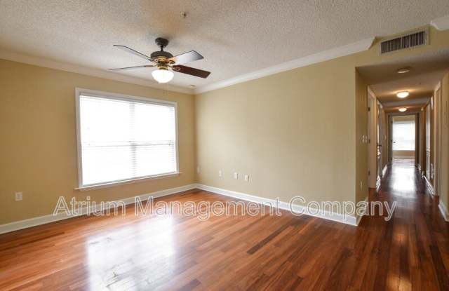 2019 Dixie Belle Drive photos photos