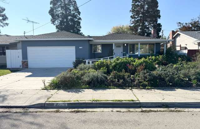 Great shape Jensen Tract Single Family Home in Livermore ADA Compliant - 4229 Davis Way, Livermore, CA 94550