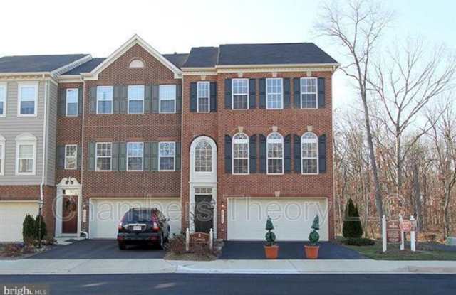 25177 Beach Pl - 25177 Beach Place, South Riding, VA 20152