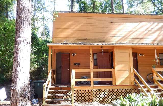 SPACIOUS 1/1 with Deck, Plank Floors, Vaulted Ceilings,  Washer/Dryer! Minutes to FSU  TCC! $895/month Avail Aug 1st! photos photos