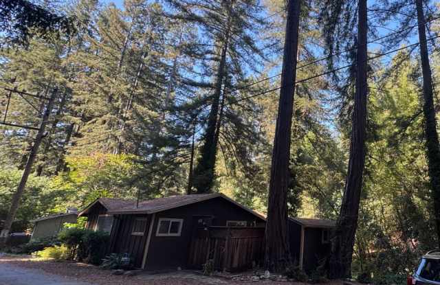 Cozy Cabin near downtown Boulder Creek Gallery 3