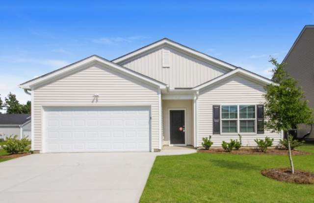 3888 Starry Sky Road - 3888 Starry Sky Road, Brunswick County, NC 28451